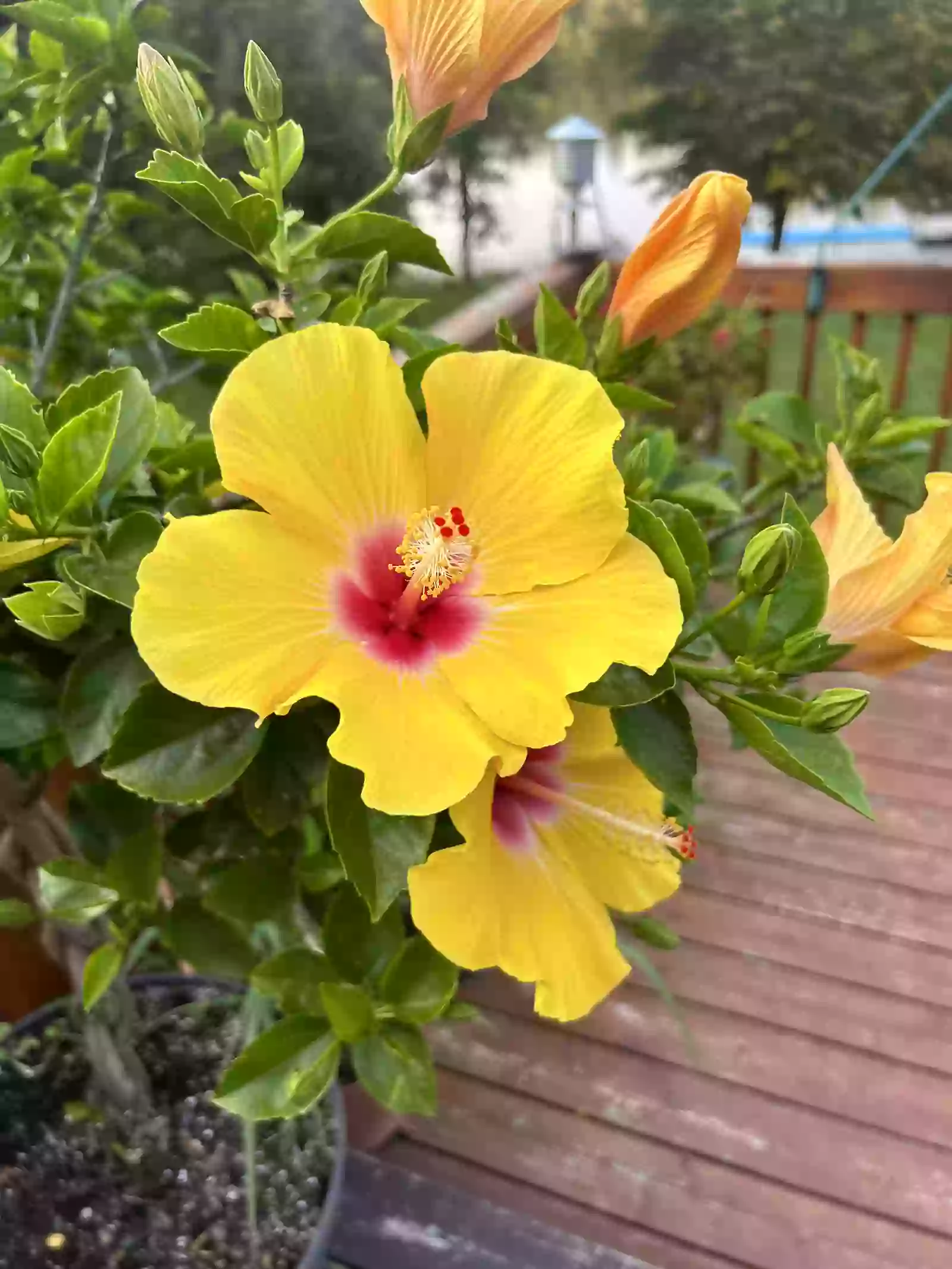 TheBenefactor.net Community icon